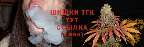 амф Верея