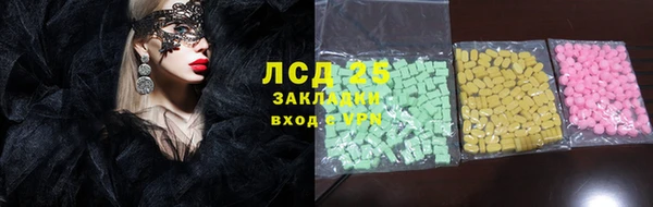 дживик Сясьстрой