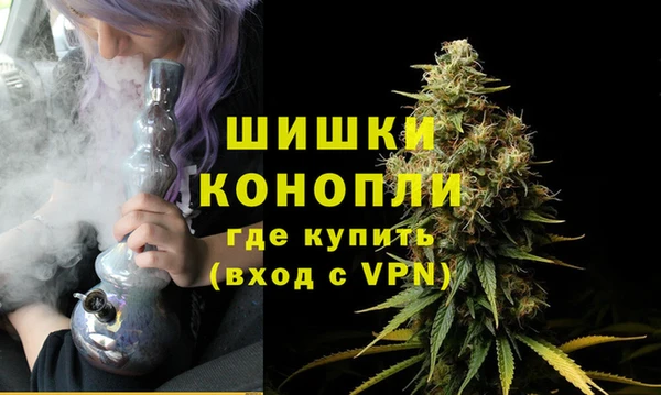 амф Верея