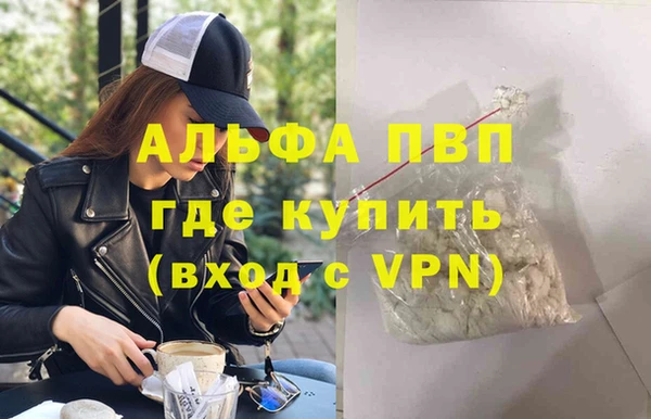 амф Верея