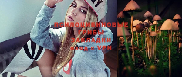 стафф Тавда