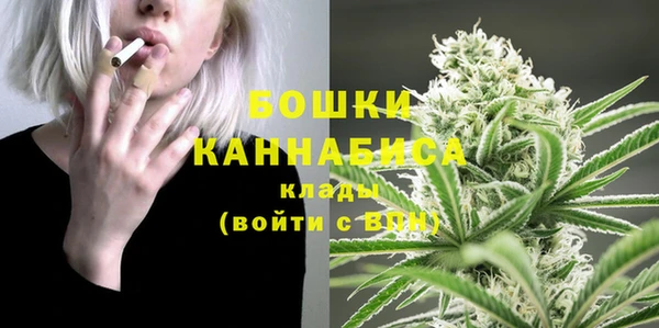 амф Верея