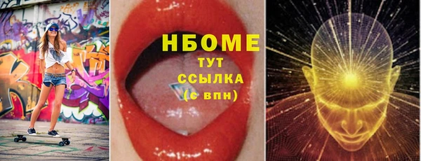 твердый Тайга
