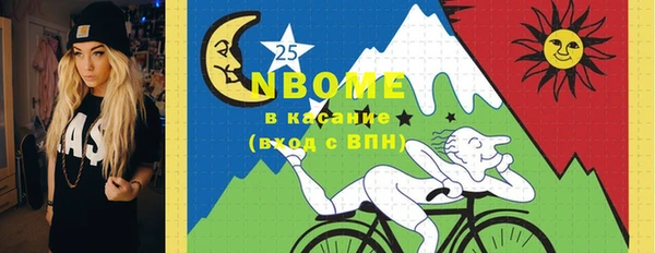 твердый Тайга